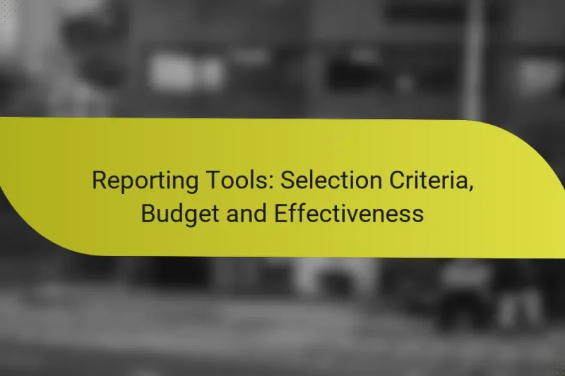 Reporting Tools: Selection Criteria, Budget and Effectiveness