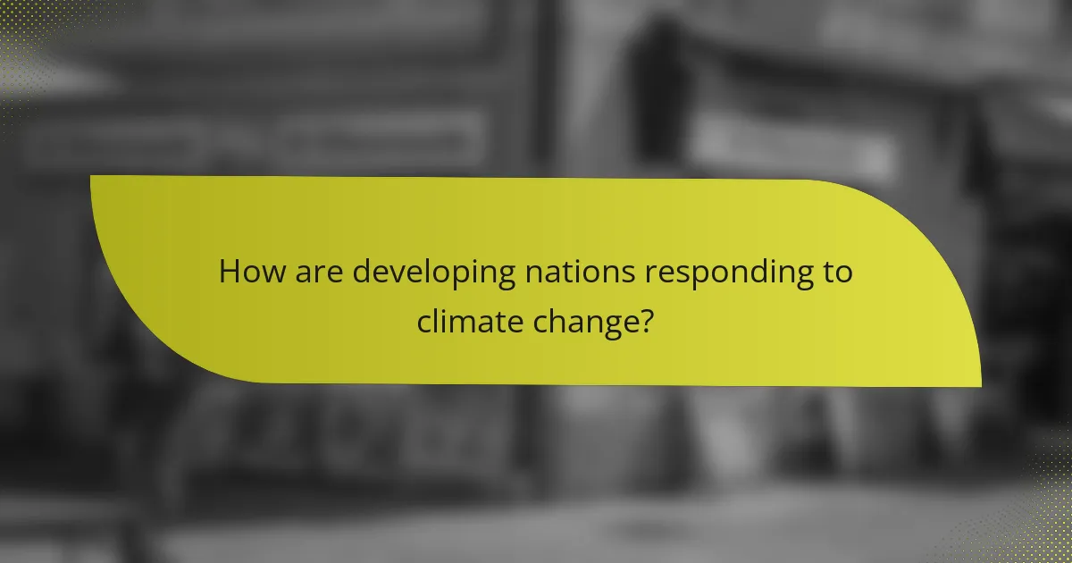 How are developing nations responding to climate change?