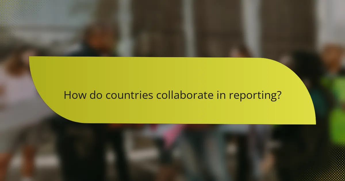 How do countries collaborate in reporting?